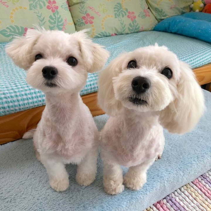 86cff81b 71c2 43fb 883d 1dc171f8c0a2 1534240740966