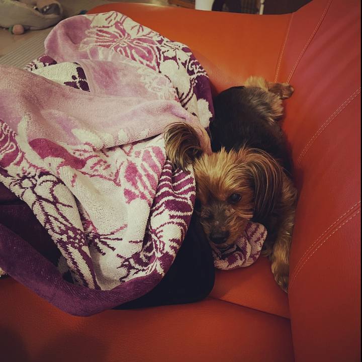 86d019bf 7874 4973 a48d 2e6bc2583c5b 1683029608500