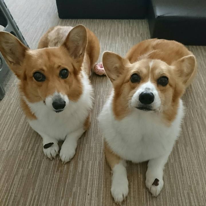 86d025ea 6e61 435f adbd 31cd6445b95c 1556260497658