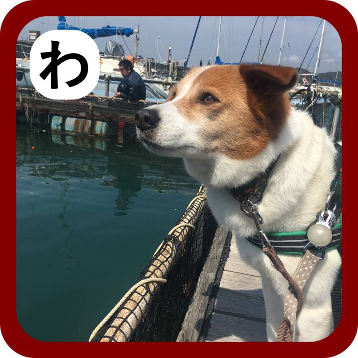 86d08ac8 0cbe 4ec1 9c58 27e5f619c882 1514858360706