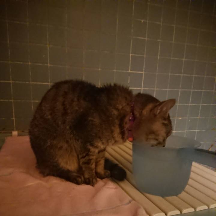 86d08d7d 6a74 4085 aabb 4f76103b81c2 1579599438671