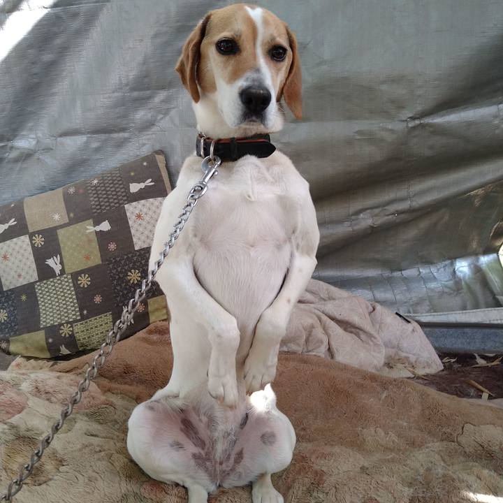 86d0bcf5 e6d5 4923 be2e 4908f9c90fc6 1661340946821