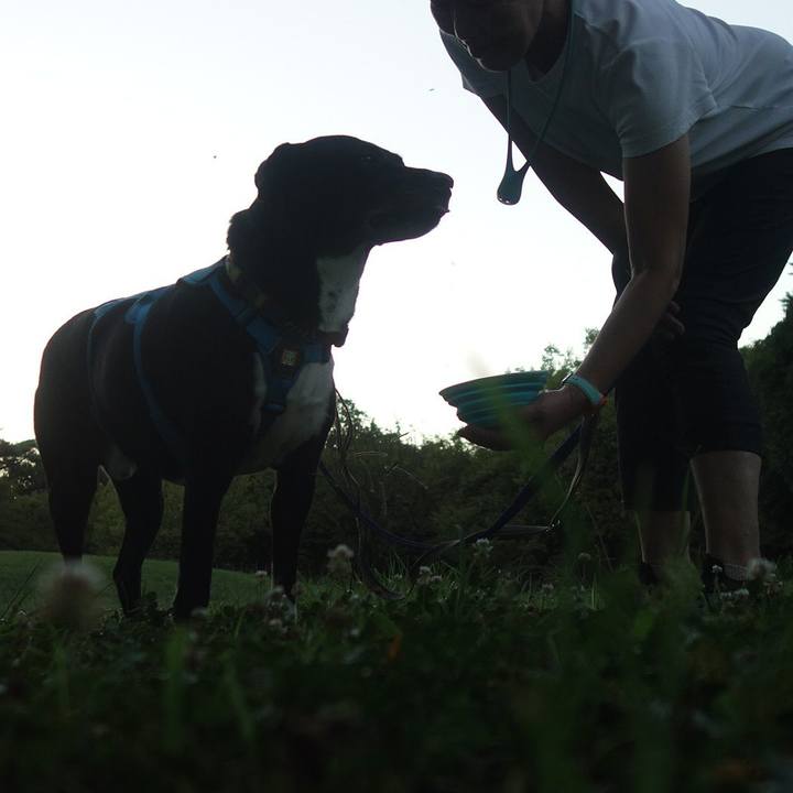 86d0d22c 3816 45ba af34 0ed64120a320 1691751466493