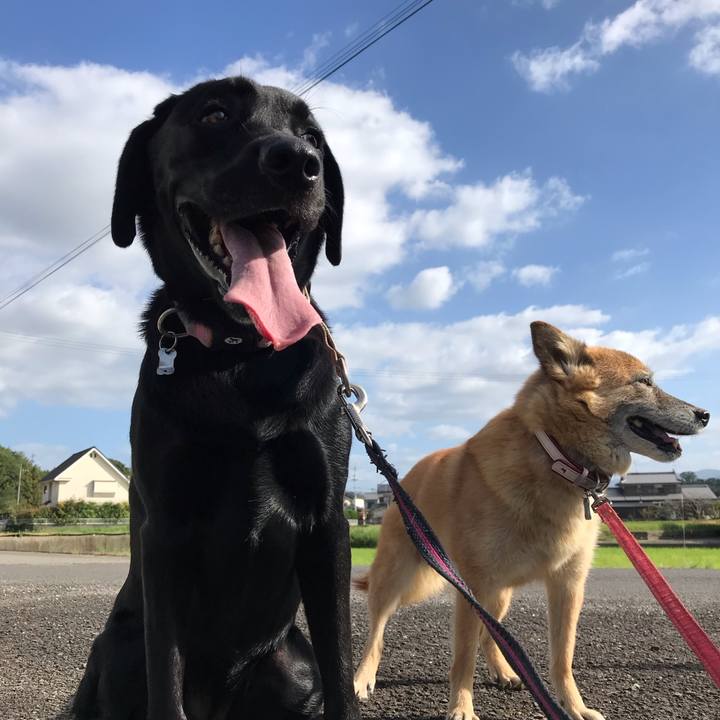 86d0fef9 e8e2 4639 8d99 b9806b05690a 1570945056699