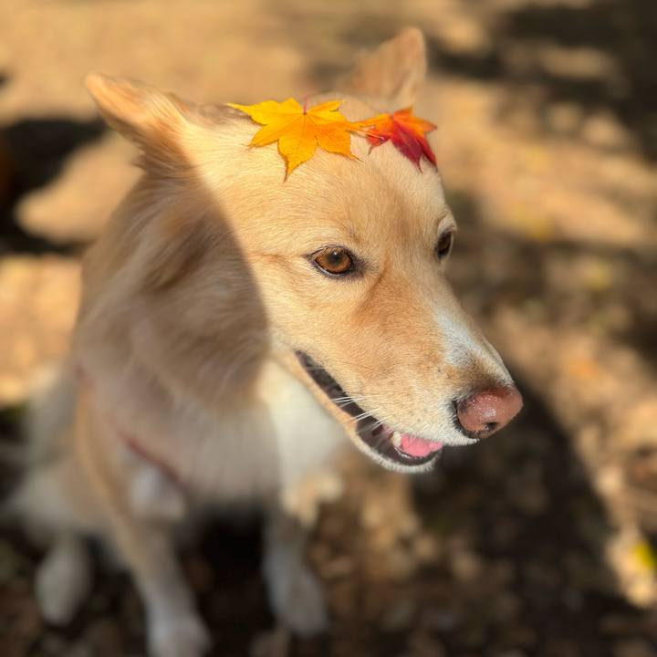 86d12854 d59c 411e 824b 85ca1b6feff7 1733202551897