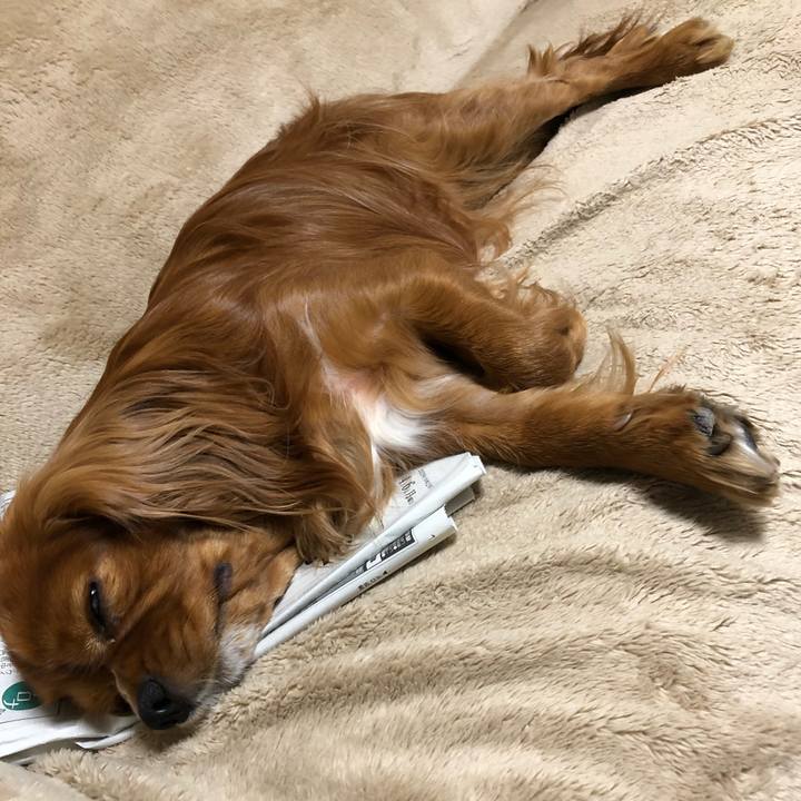 86d154b6 2d58 48e8 bb7b 7d3a61e53db1 1586297368889