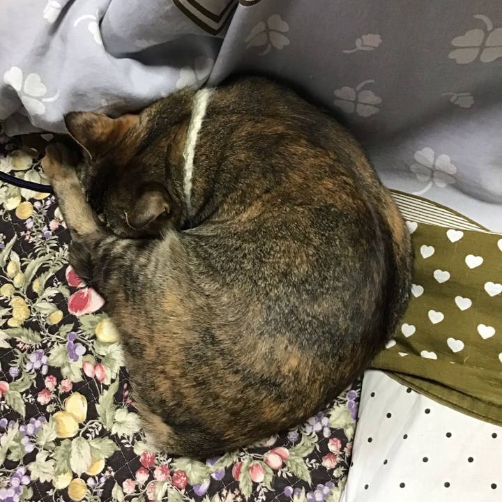 86d1750b e541 4a61 b061 0cdcebe3fb0d 1649066540699