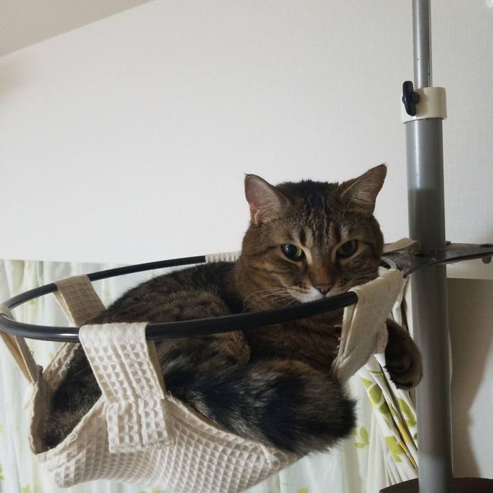 86d19a35 7901 4558 9570 569856a1371a 1580073038449