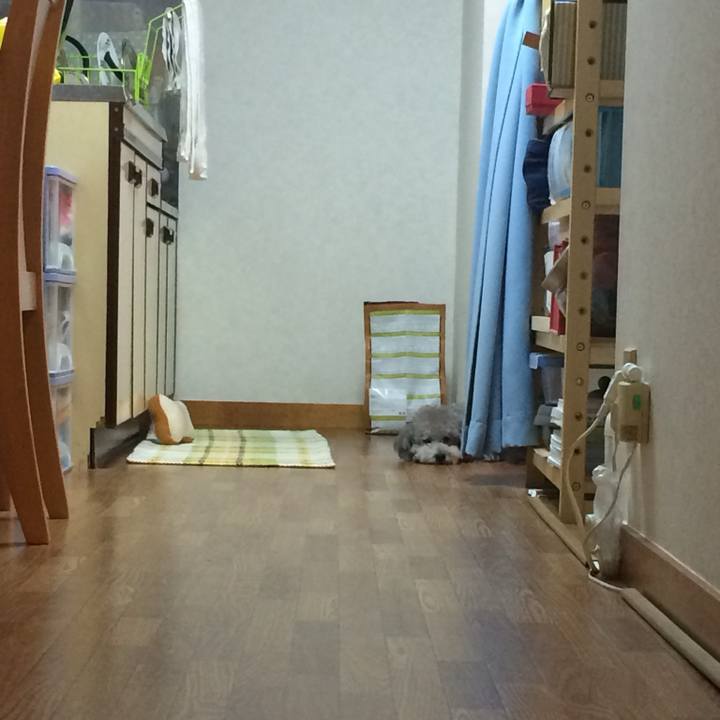 86d1a08a f069 4d78 bce6 3b4cf4fe61e0 1752489150099