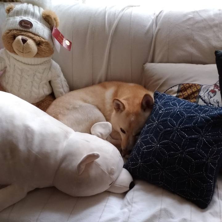 86d1ea04 5da7 47fc a857 05bed81cdfea 1569128167765