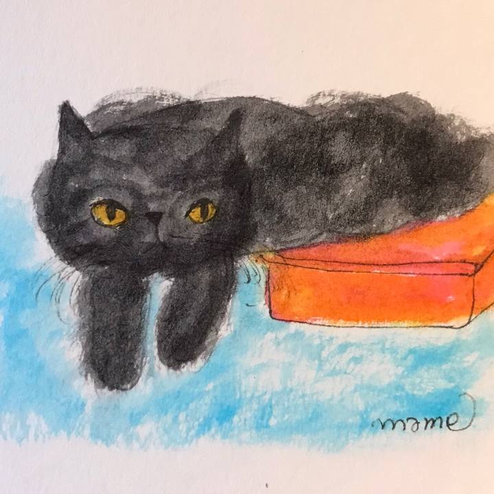 86d20540 49c2 41dd afc8 d7e429afea94 1608561182569