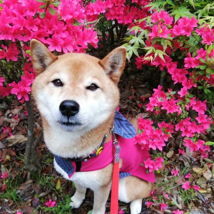 86d20754 70a8 4004 8297 5462008e1024 1651013699360