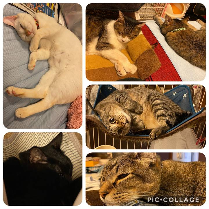 86d22430 6f2f 4043 98c9 2e569c848ddd 1595703622214