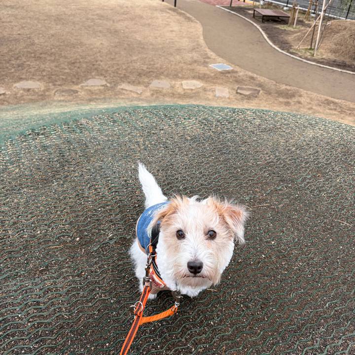 86d29eb1 ab80 45f2 82dd 1f77bcf6ac7b 1770856380175