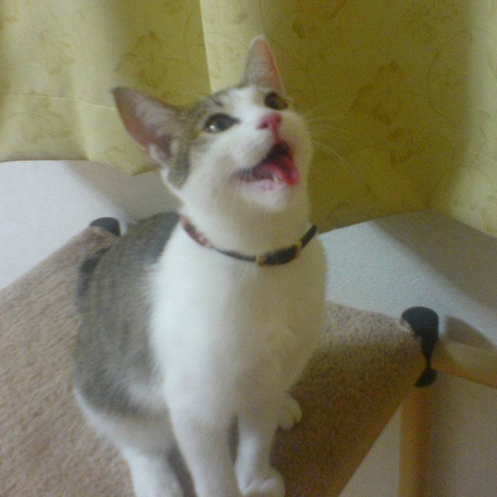 86d2a8f2 9ad5 48ea 9856 80feed538f91 1625226082302