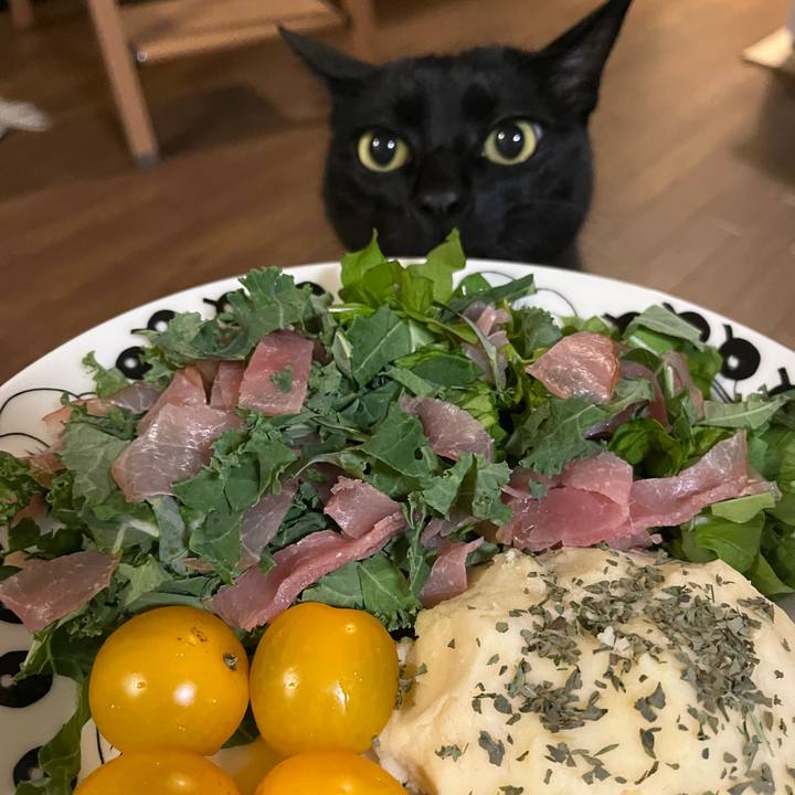 86d2b1d8 560e 4cf9 bdc9 ee7fb5157c3d 1703673714641