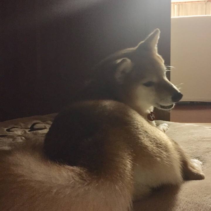 86d2c053 f0a8 41c6 87cd 7d6d9311fcf1 1529507345492