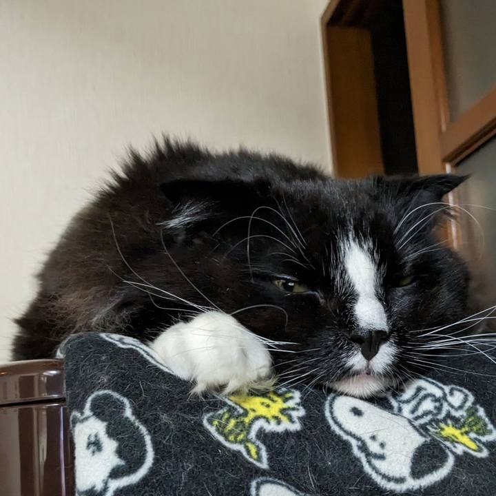 86d2c144 4ed9 47c2 94b8 05b9020b42f7 1675258034646