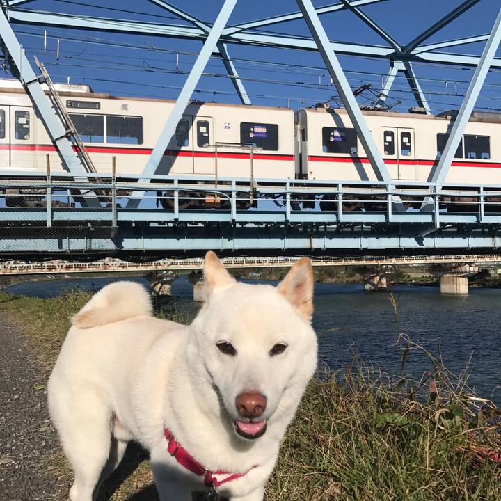 86d2d76a 166c 4515 a5c3 dededee0166f 1510184232613