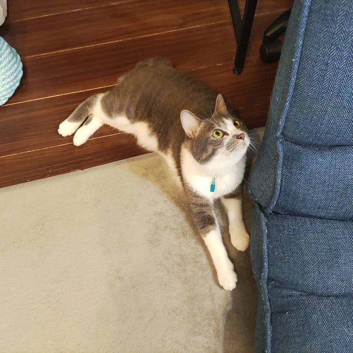 86d2d9f3 d8c4 4011 be0e 6f4d0e29d2b7 1657749385997