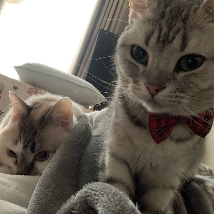 86d2e22d 0b72 472e b0bb 2240dd183f05 1581036068274