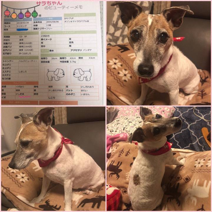 86d304ce 5b62 4425 a219 6b9517af0ec5 1519642872153