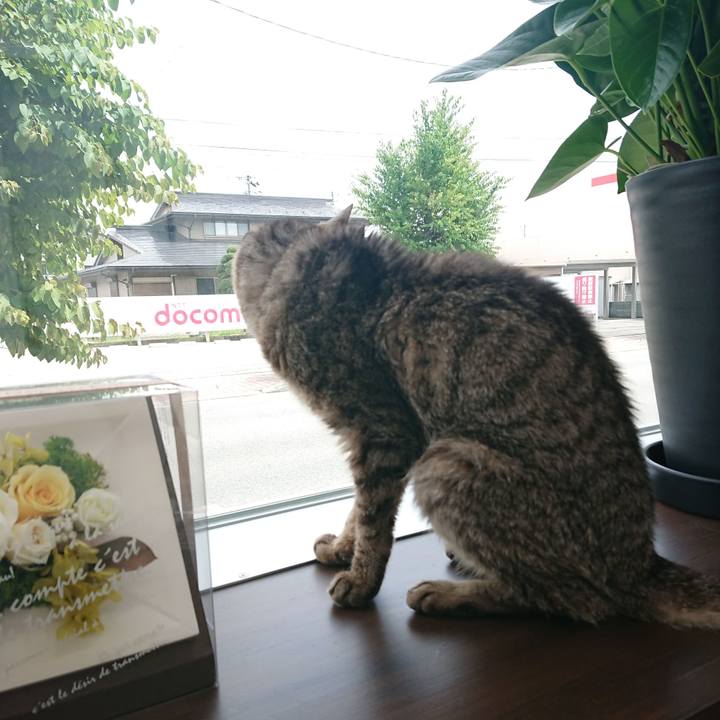 86d3a169 2ca4 4e10 b45b b05bcd8d470d 1594432172467