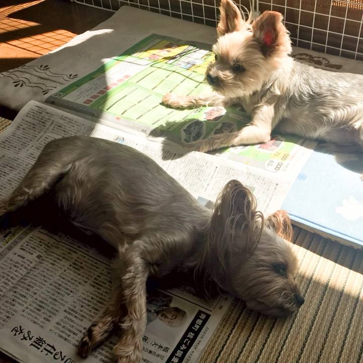 86d3b845 802b 47e1 bab8 0c7120895ffb 1598175372736