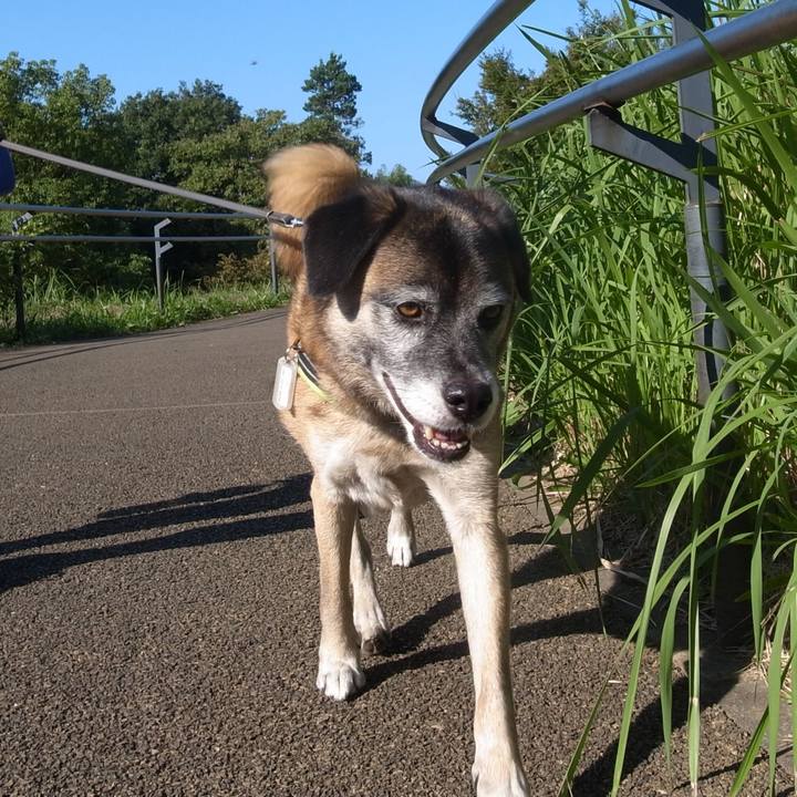 86d3ffbb d251 4f07 805a f32e9903ee00 1591787324288