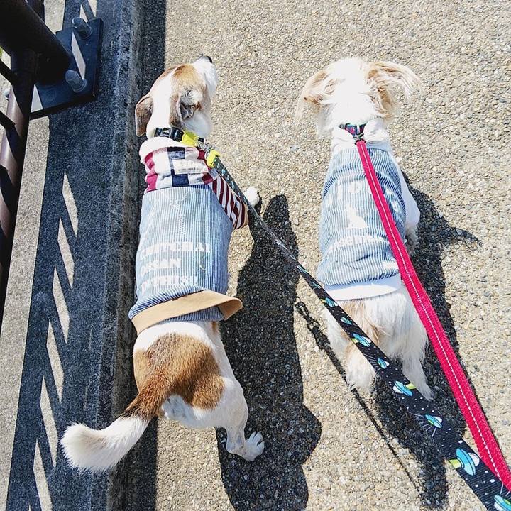 86d4312d 3dca 4aca 9dcb cc43b320304c 1586064012391