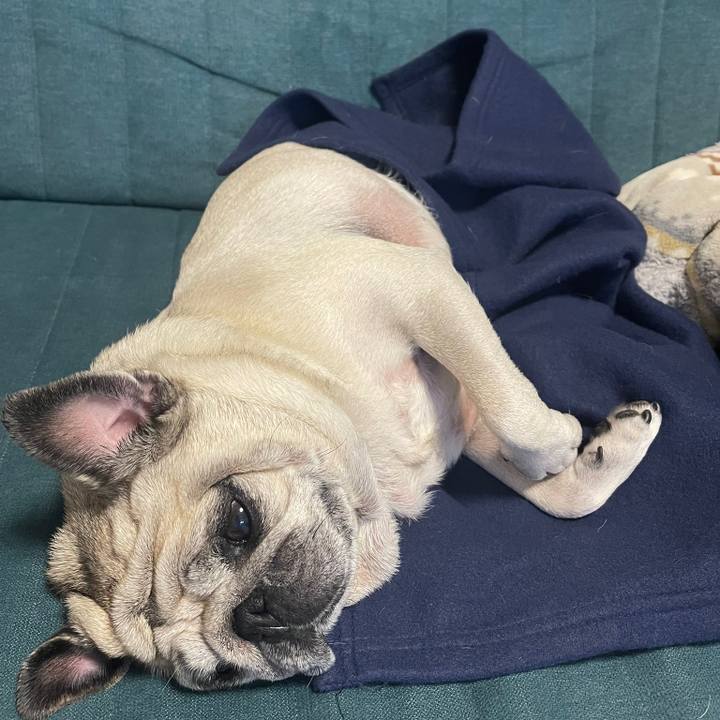 86d436fa f8d0 4529 affd f32ed7baddd8 1768883312418