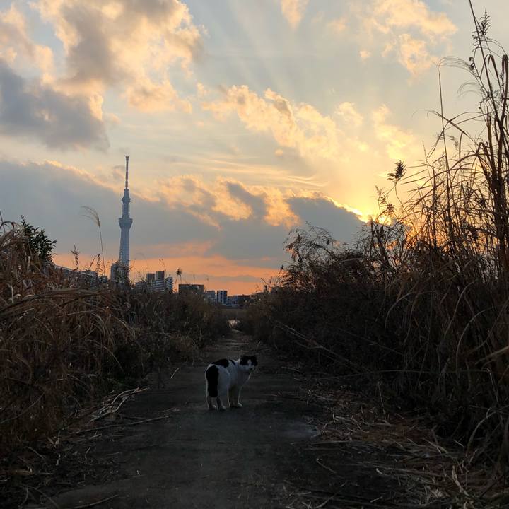 86d468bb 6541 4cde aeff 676f771cc379 1580972773448