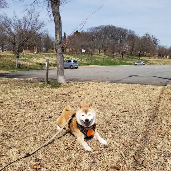 86d46cdf beb4 4d35 bedc 45f7bde2c616 1712372290954