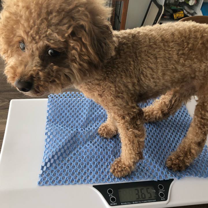 86d4708d 4ae0 4ab2 b3cd 1b438dbc3bc9 1594961279754