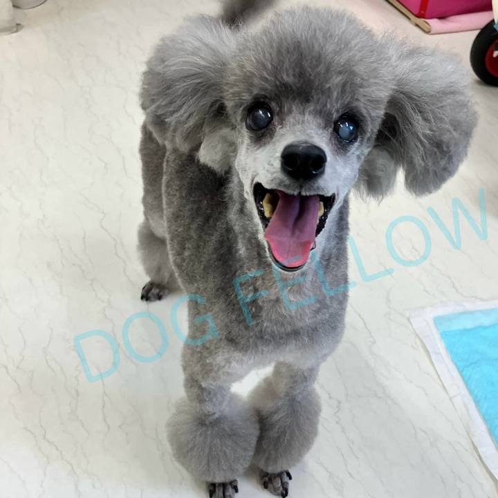 86d4bd59 2278 47ca 91d0 88e76e27cac8 1736241791906