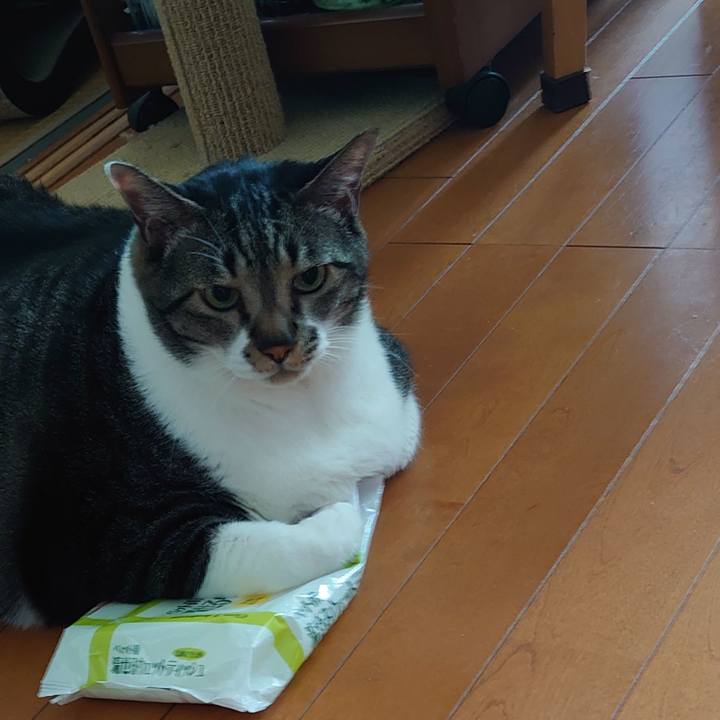 86d4dc19 d835 4572 842d 866f43fd39d9 1627003709901