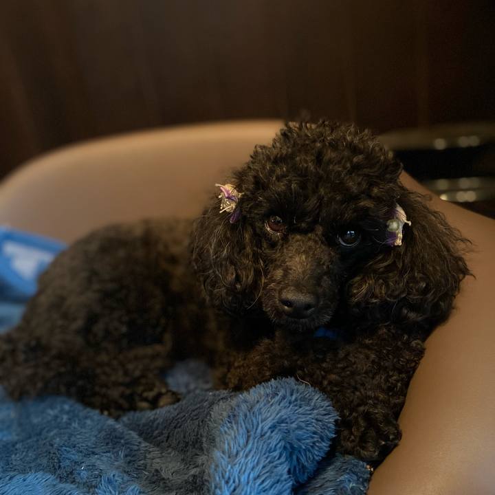 86d4ef99 9a38 4518 9c11 57389dc803a4 1621473821499