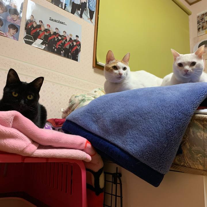 86d50e1c aa77 4793 91a6 137c7e2b78f3 1580295314072