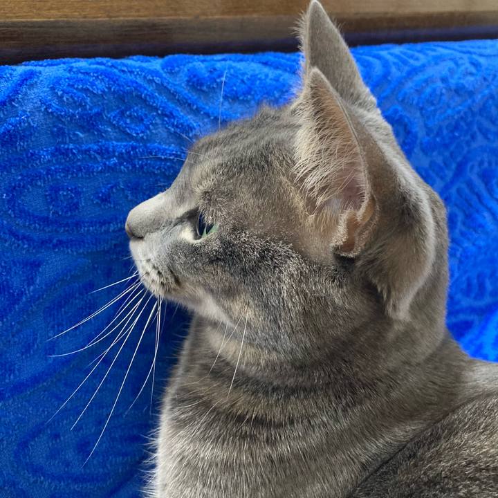 86d54b7d 3dd4 4fd6 a552 b99504f7746a 1610460839935