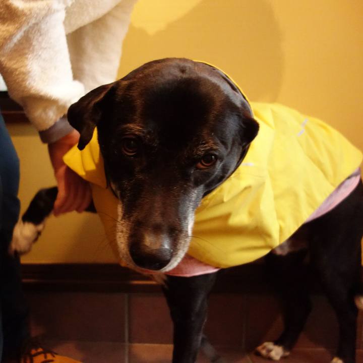 86d56409 a781 48b6 9937 fb273156bdc7 1741396259589