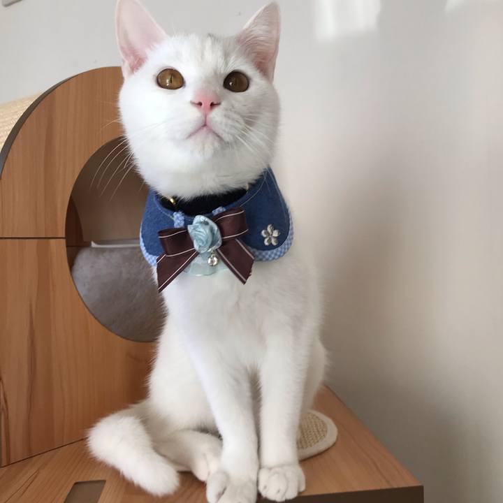 86d5c2d7 47f3 491f 8702 a0c8548de4e7 1575944630421