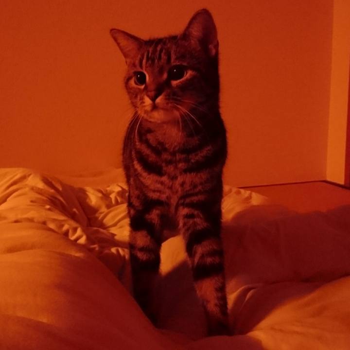 86d5e16a bad0 48e2 83c2 08b47f32f798 1509634947096