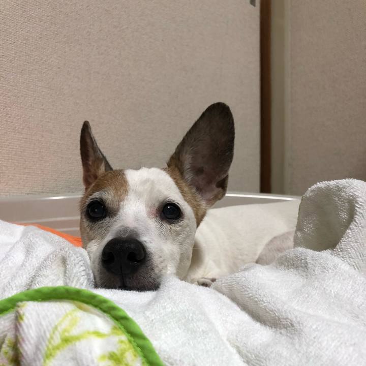 86d5ebbf 1ea6 4712 8f66 082219f787c2 1577327862081