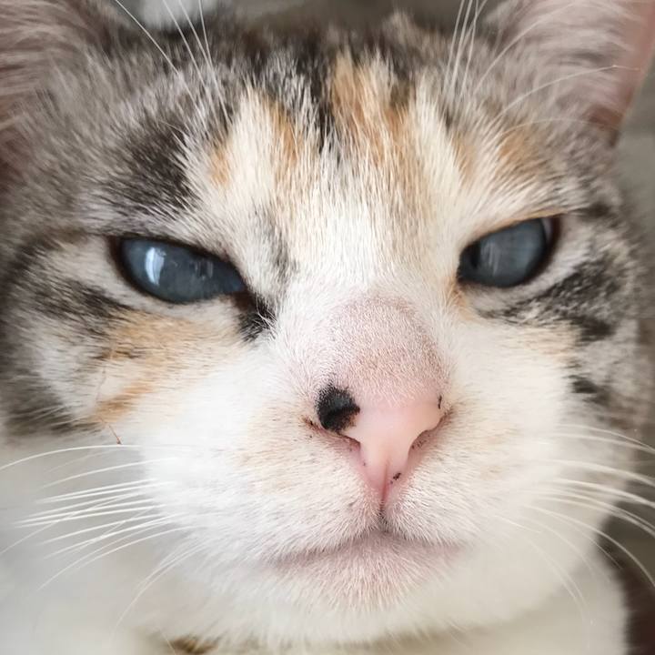 86d5ff3a 5e40 4454 9fdd 32a2a5889682 1523181471182