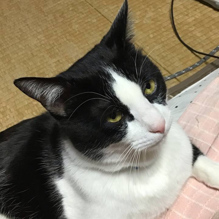 86d62692 4ed1 4f52 a0c8 4ca1e72ad943 1677678740314