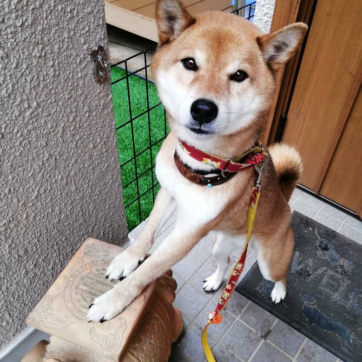 86d63d33 9727 43e9 b013 11b91a01fa23 1583304781228