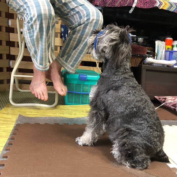 86d66c48 3098 479d 8369 9ba2c9bd6100 1530920820365