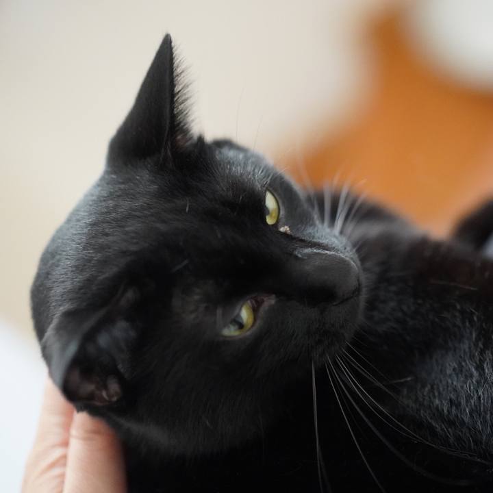 86d66dd8 5b43 430c 9def 0bc435597eb7 1568073543628