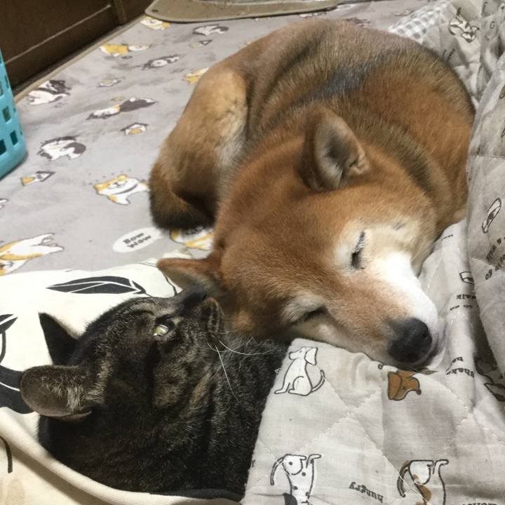 86d68f70 2014 4869 a517 4b64cc4a2a03 1614322099040