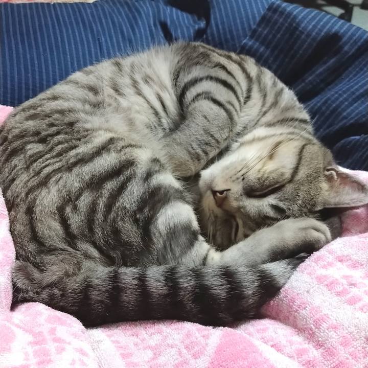 86d69460 946e 4154 9fb7 2b1af0c23605 1582116752488